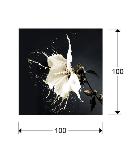 Medidas Schuller FOTO ·SPLASH· 100x100 (Ref. 719360): 100x100x0.4 cm, 10 kg.

