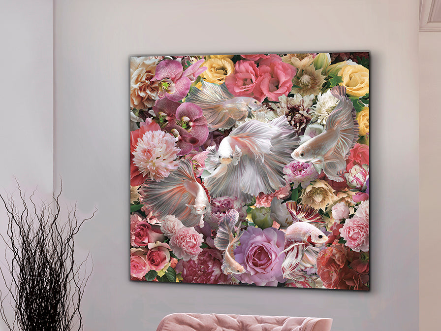 Schuller 987165 - Fotografía Impresa Peces Luchador Siam 120x120cm - luzguru.com