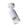 Foco de techo orientable Sahara CristalRecord 43-211-11-100