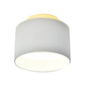 Foco LED ICE Luz Combinada CristalRecord 43-861-01-000