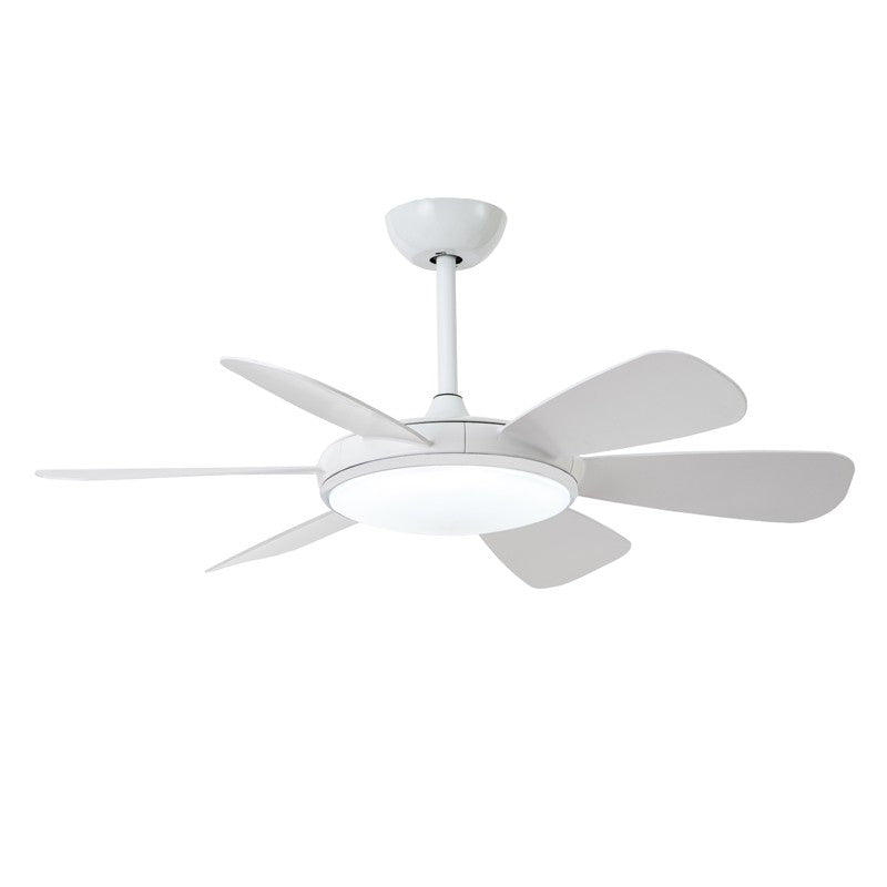 Ventilador de Techo LED DC CristalRecord Mode 85-960-24-100
