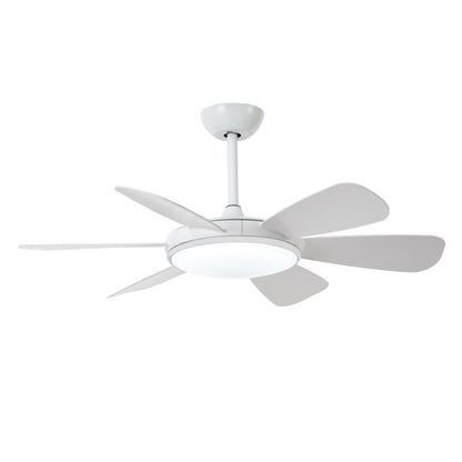 Ventilador de Techo LED DC CristalRecord Mode 85-960-24-100
