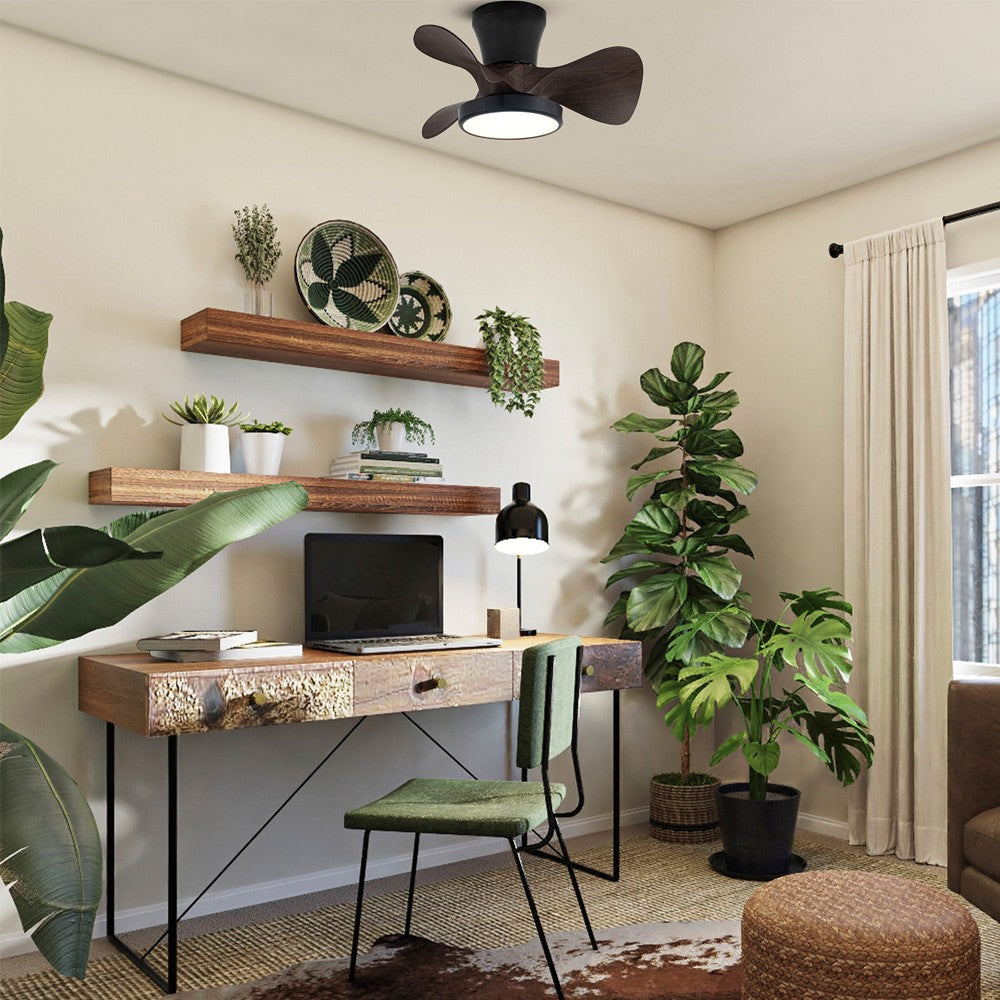 Ventilador Moll fabricado en Metal color Negro y Madera