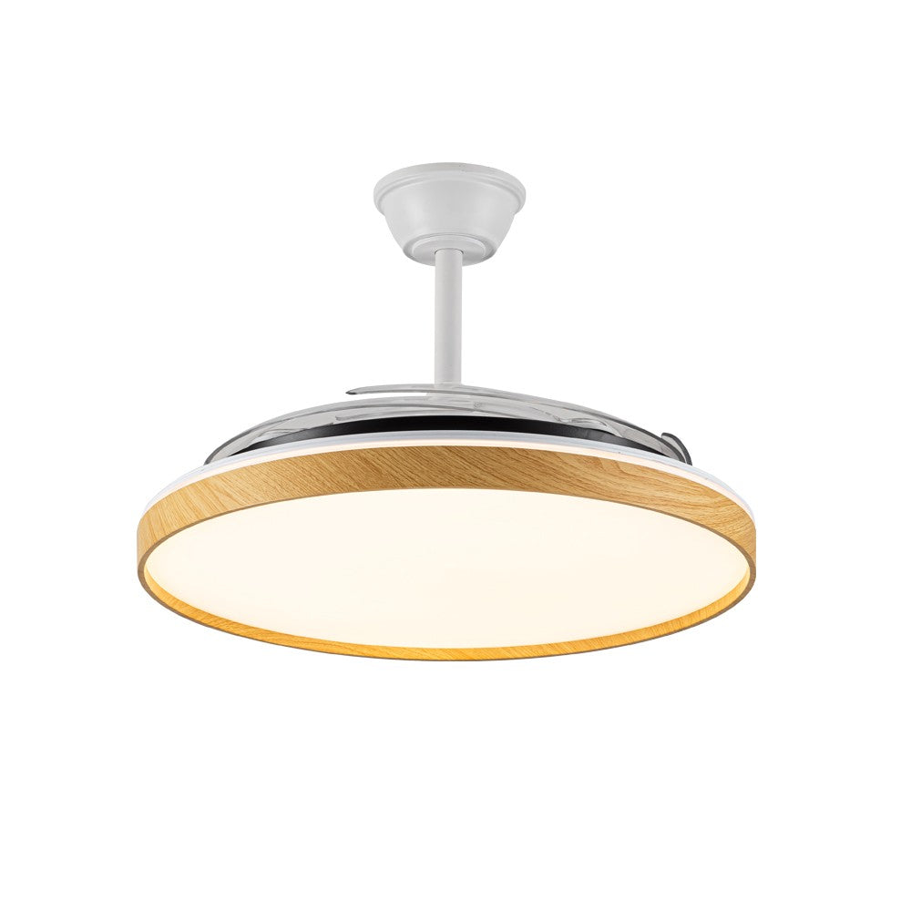 Elegante ventilador de techo ideal para el salón