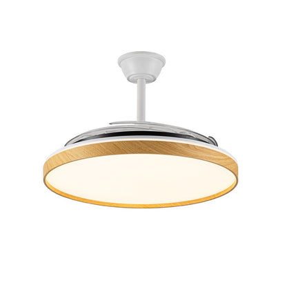 Elegante ventilador de techo ideal para el salón