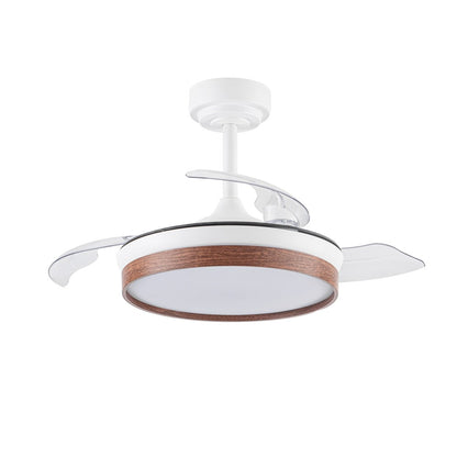 Panam Mini Ventilador de Techo LED CristalRecord 85-021-36-180