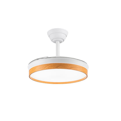 Ventilador de techo LED con 4290 lúmenes y temperatura de color ajustable