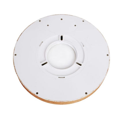 Luminaria de techo moderna ideal para Salón