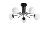 Plafón de Techo Negro Model 12 CristalRecord PRODM22046