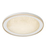 Plafón LED dimable Gloss CristalRecord, diseño ovalado, ref. 28-697-40-100