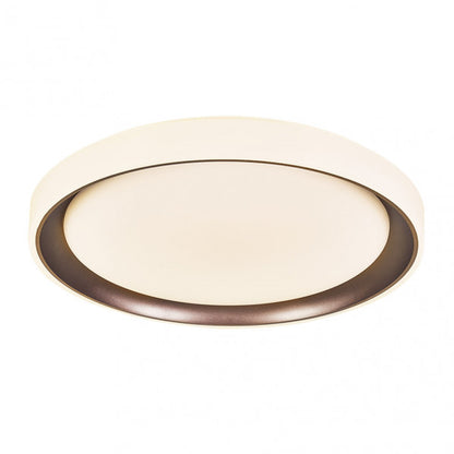 Plafón Luanda 72W Marrón, detalle del mando a distancia.