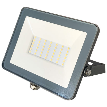 Proyector LED 30W CristalRecord 77-652-30-181 para exterior