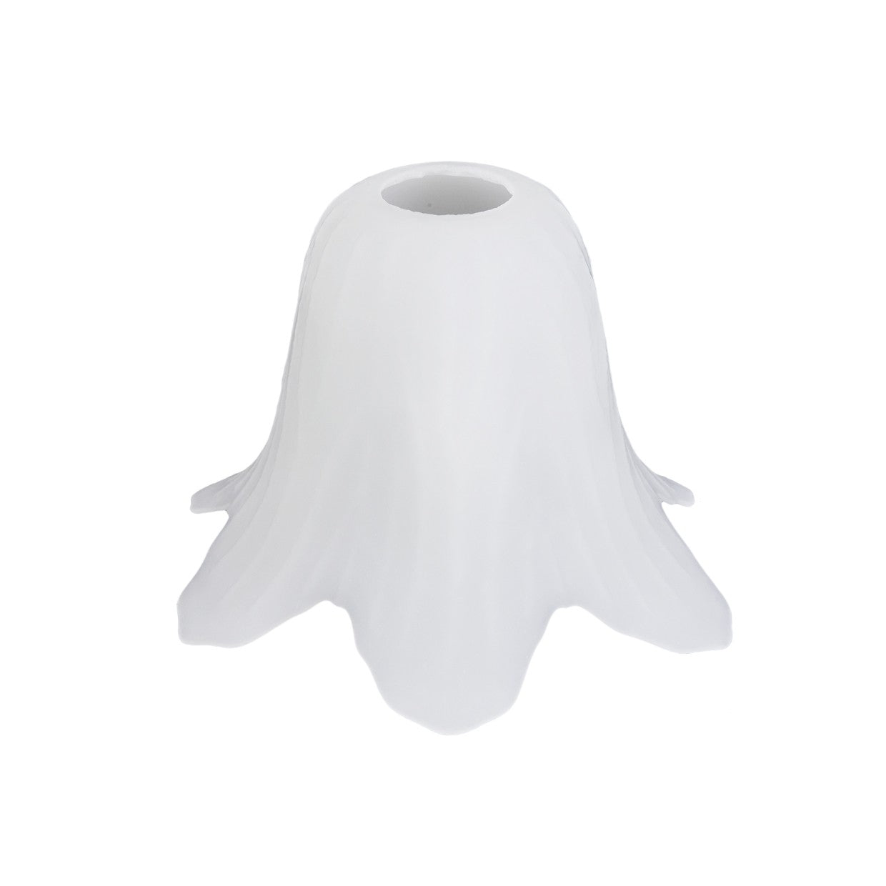 Tulipa Hedera Acido Blanca XT055 - AJP / Alemar - luzguru.com