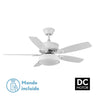 Ventilador BRAW DC 30W Fabrilamp / Abrila SKU 181891568 con iluminación LED integrada
