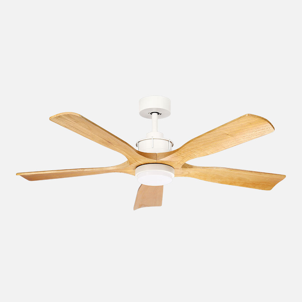 Ventilador de techo DC Letur Fabrilamp / Abrila con luz LED y motor silencioso, referencia 261691568