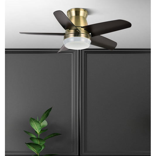 Ventilador de Techo con Luz Neutron 91 cm Cuero y Negro Fabrilamp - imagen 2 | Fabrilamp / Abrila