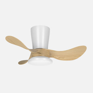 Ventiladores